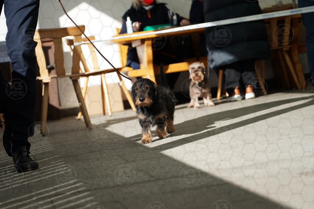 s_A9_09214.jpg